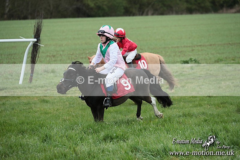SHETPR 210425 204 - Shetland Ponies Paxford Races 21/04/25