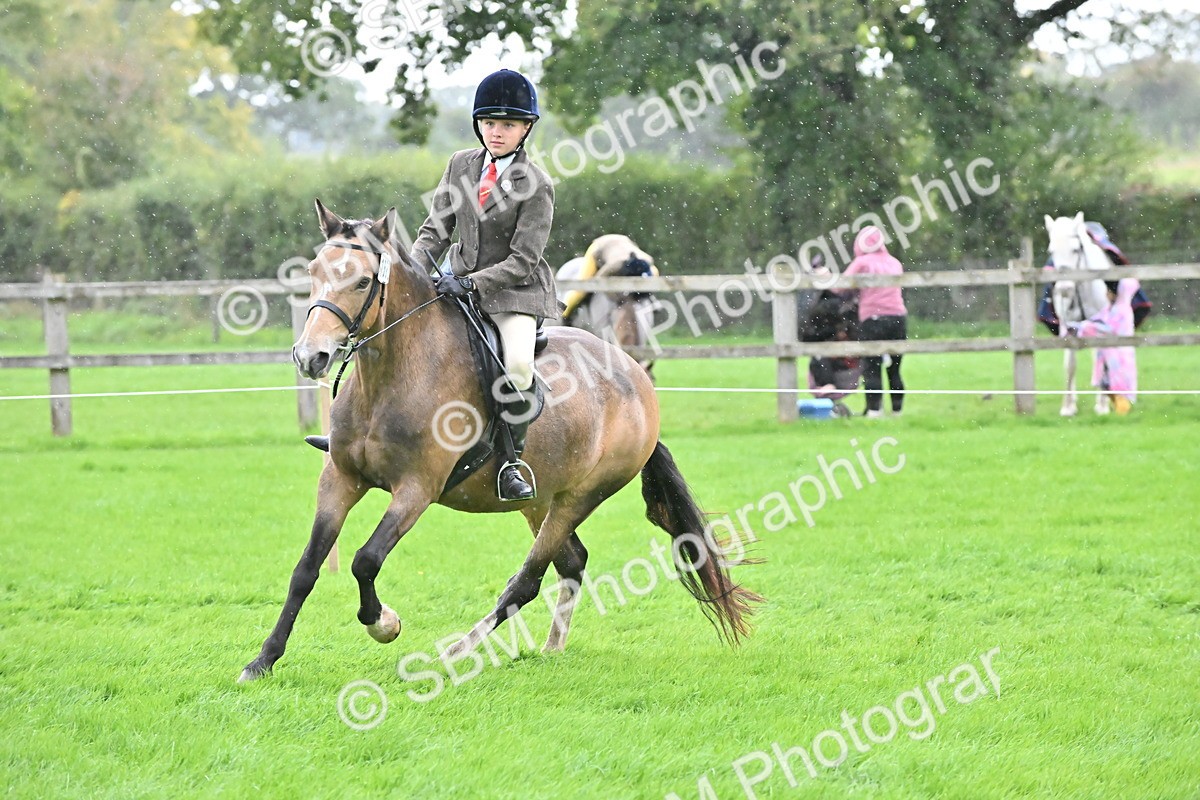 SBM_42953 - S12 - Family Horse & Pony