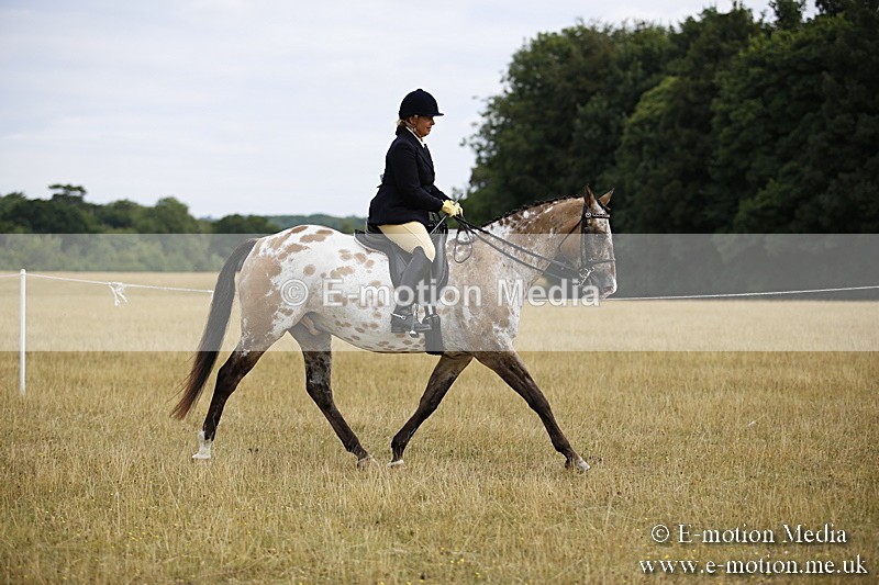 _C7A9483 - BVRC Show 2018 Ring 1