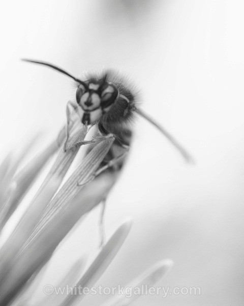  - Slow Photography