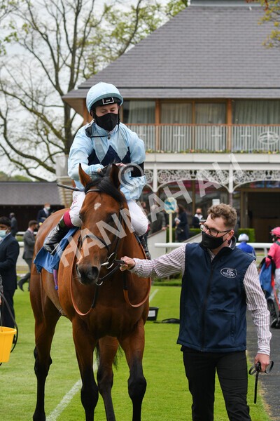 yr12052021r3-31 - Race 3 2.40pm Duke of York Clipper Logistics Stakes