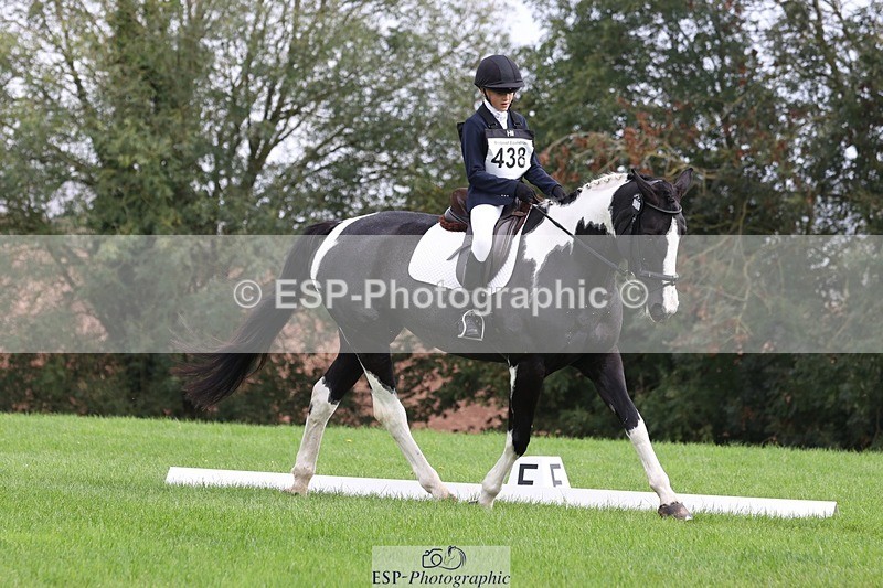 231019-135351-03805 - 438-KILCORBAN.MY.FAIR.LADY-Natasha.Crapper-DR