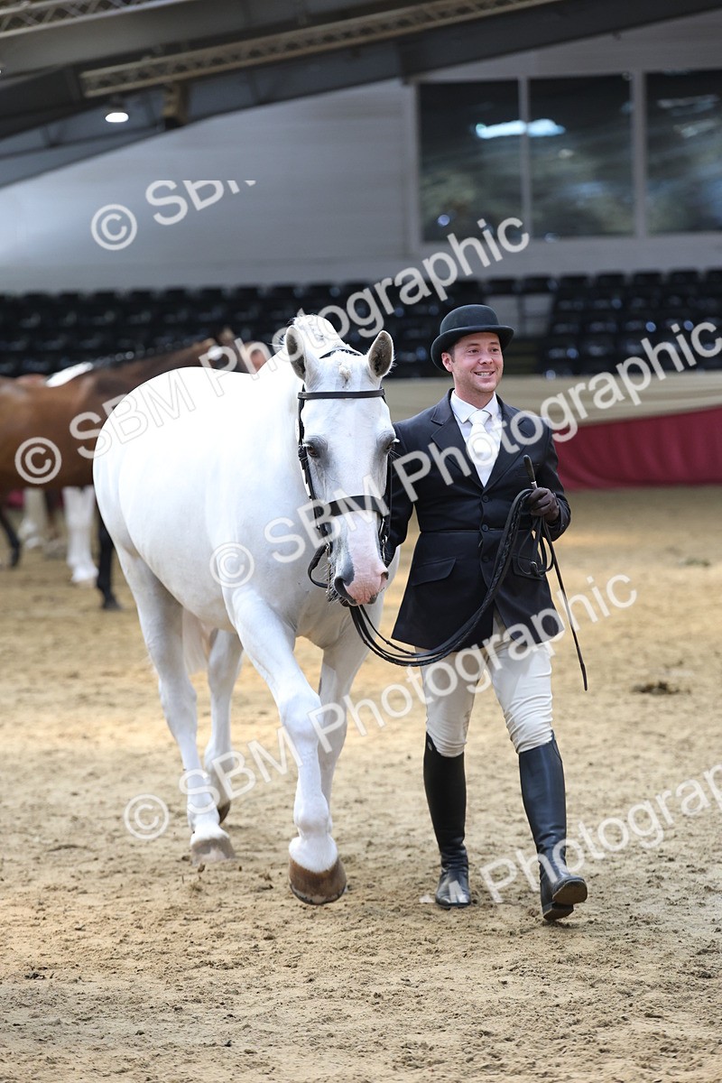 SBM_23382 - Class 903 - Supreme Final - IH Pre Vet