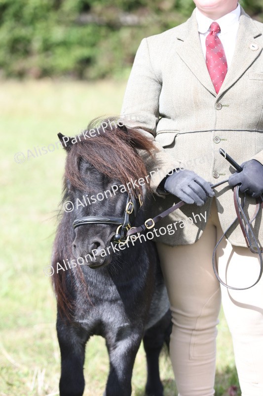 20250831-1735 - Class 22 - Mountain and Moorland Inhand