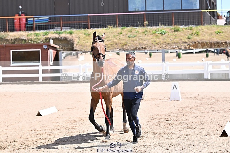 250716-123900-00089 - Trot Up 12.30 to 1.30