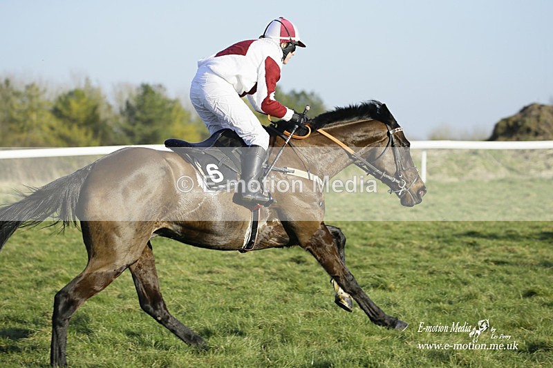 PtP 270222 520 - South & West Wilts Point-to-Point Larkhill 27/02/22