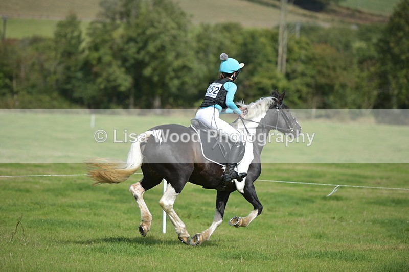 RAY_8655 - Class 2: Trekenning Open: Wall