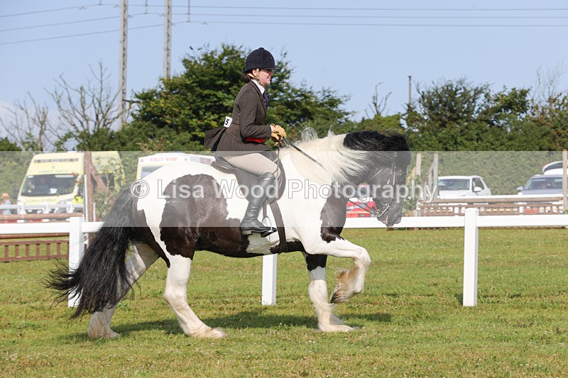 1X9A3173 - Class 27:  Ridden Native/Trad Coloured Horse