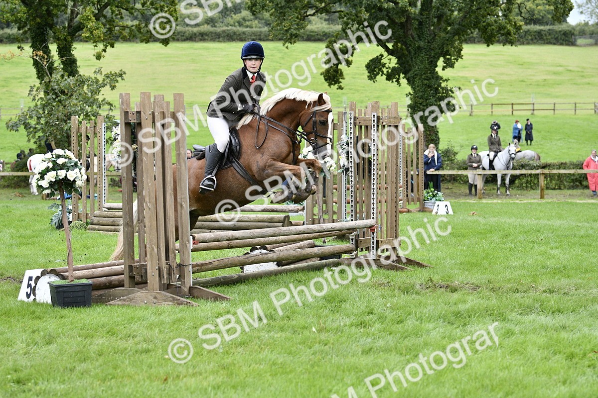 SBM_41370 - S32 - Mountain & Moorland Working Hunter Pony