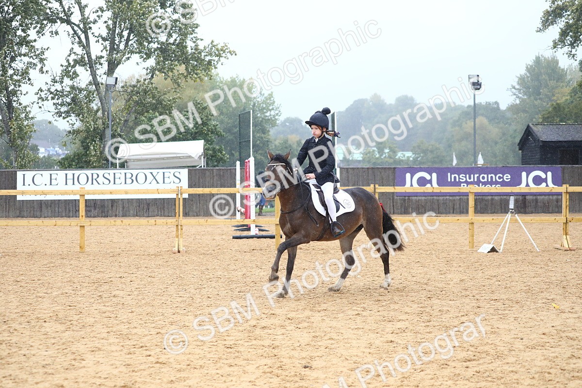 SBM_71651 - J4 - Mini Tour Junior Pony 45cm Championship