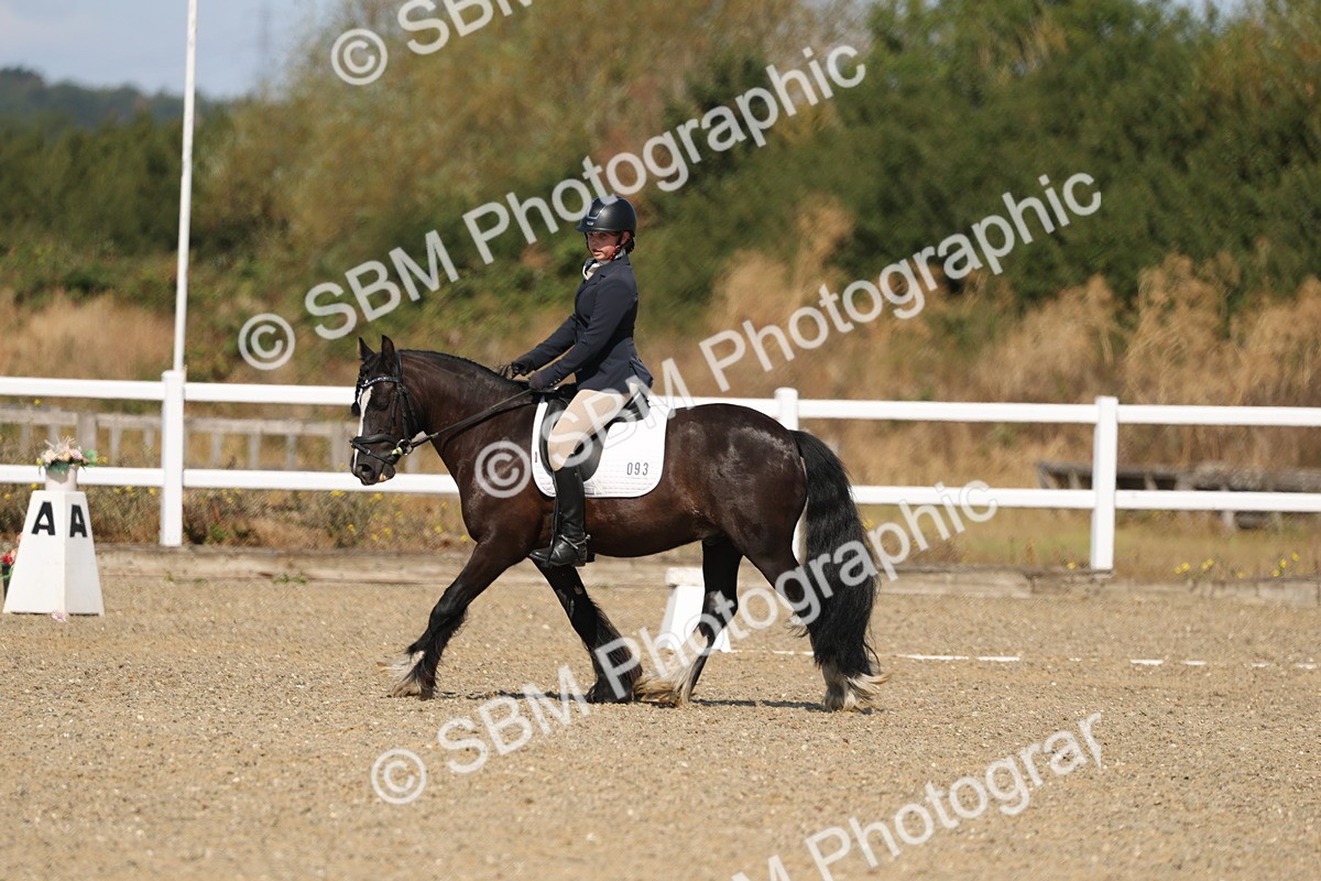 SBM_013528 - Class 1 - P5 Bronze 10.38.12.02