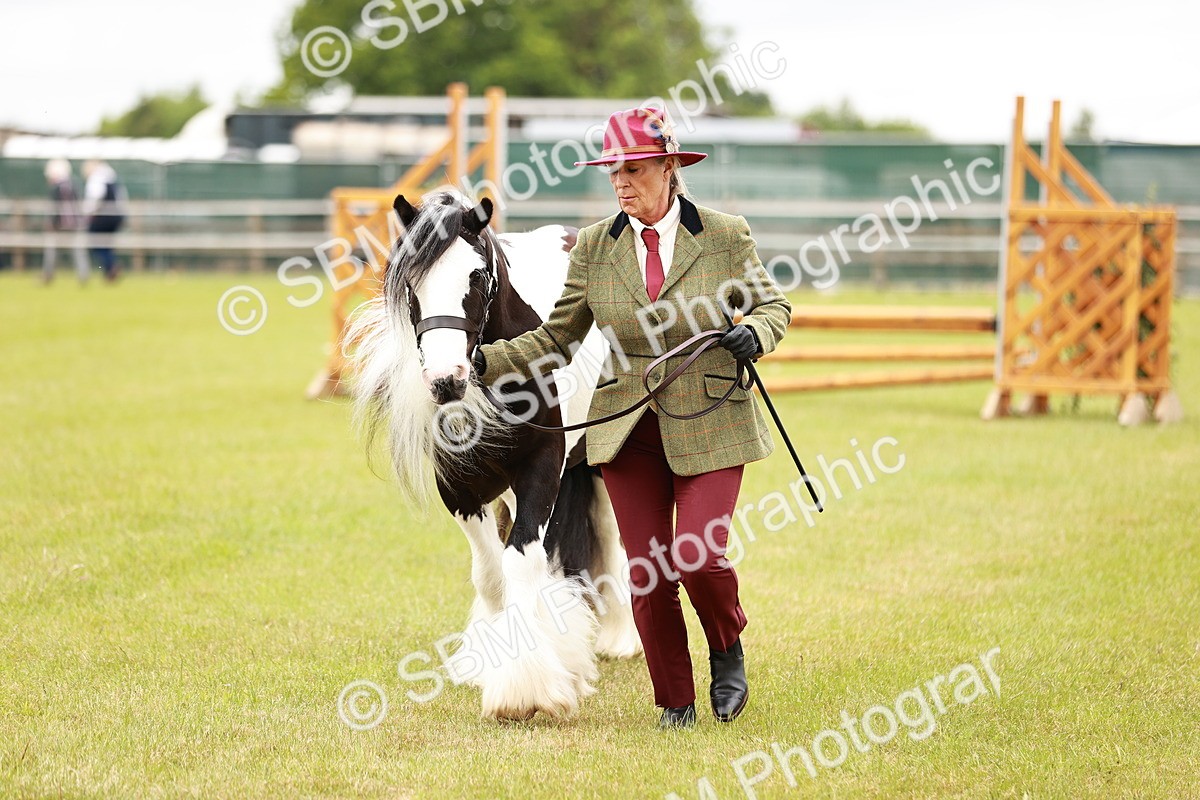 SBM_06053 - Class 39-41 TGCA In Hand and Ridden