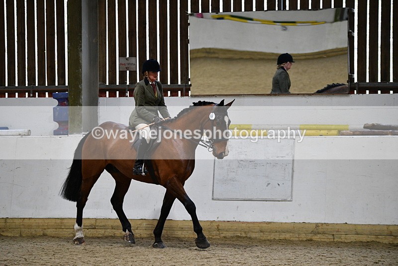 WJ5_8991 - Class 15 Ridden Show Horse