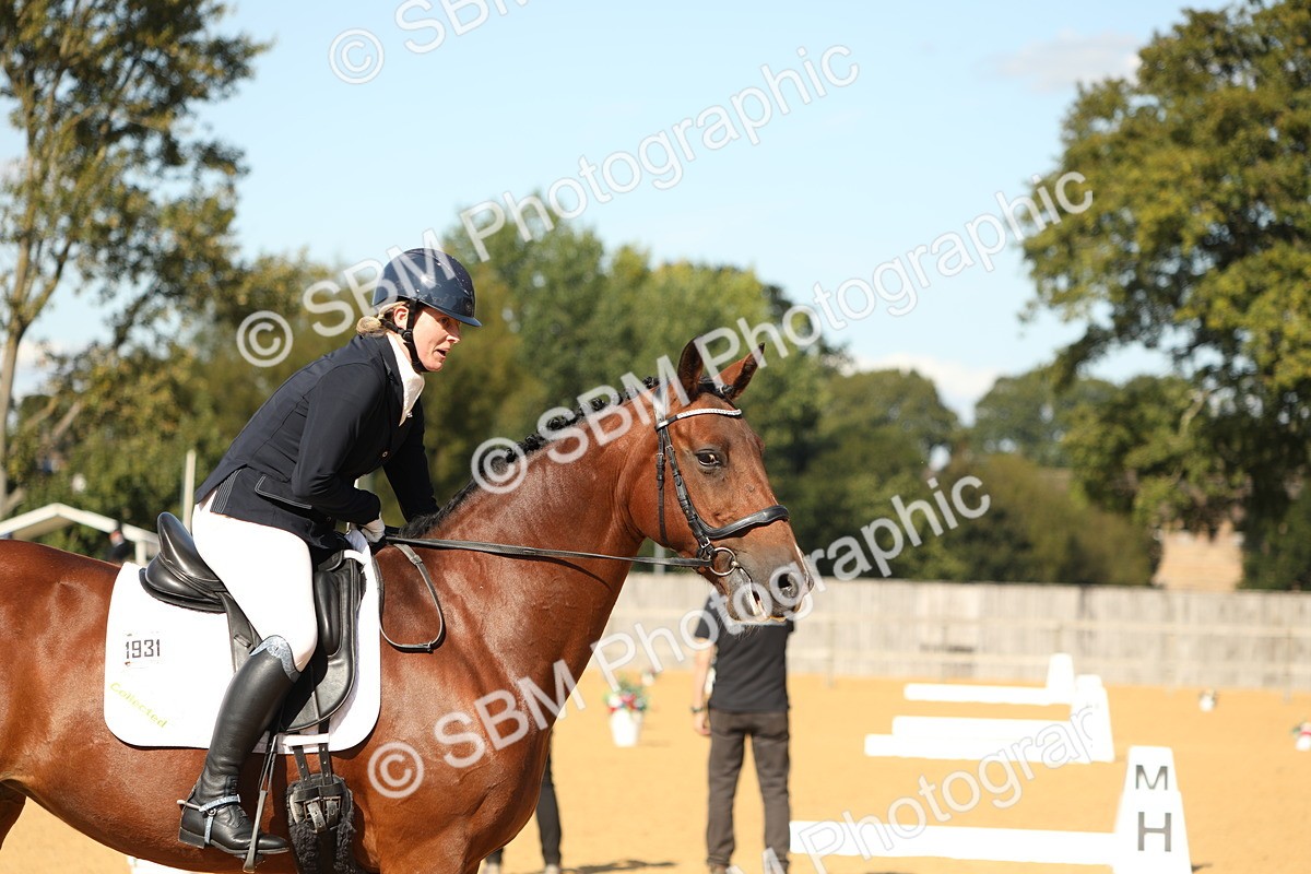 SBM_24548 - D17 - Grand Tour Championship - Novice 27