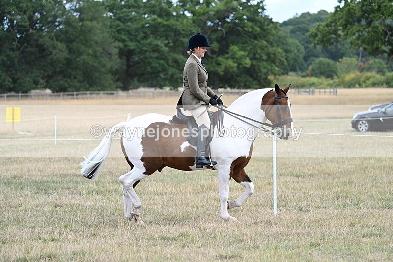WJ7_4879 - Class 12 Ridden Cob
