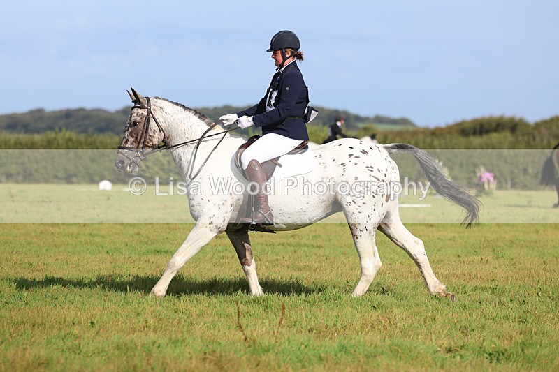3E7A6059 - Class 1: Trebudannon Open: Dressage (Part 2)