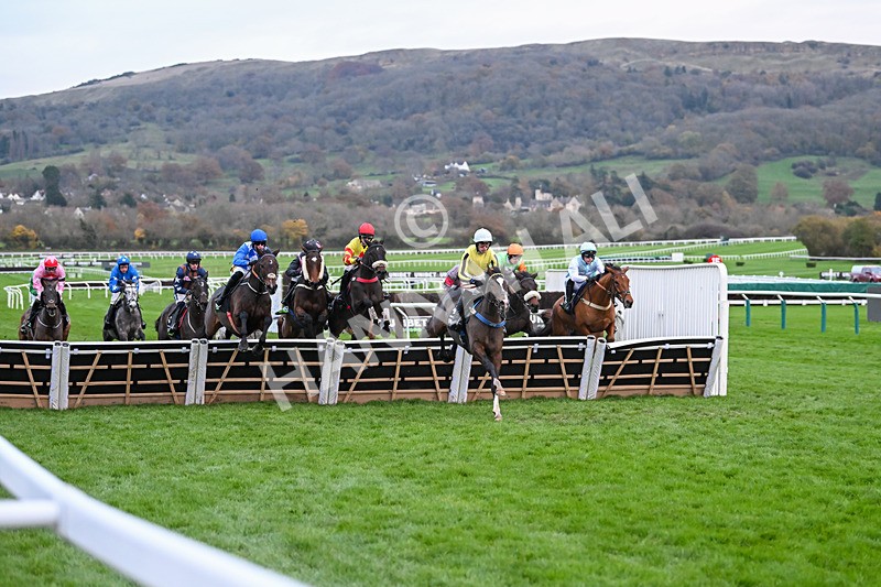 171124-Race 5-Burdett Road-4205 - Race 5