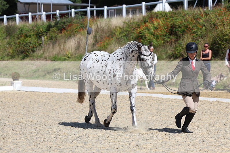 3E7A9435 - Class 29: Veteran In Hand