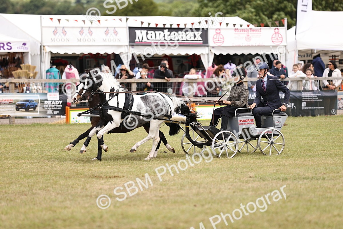 SBM_16017 - Class 91 - Scurry  exceeding 122cms
