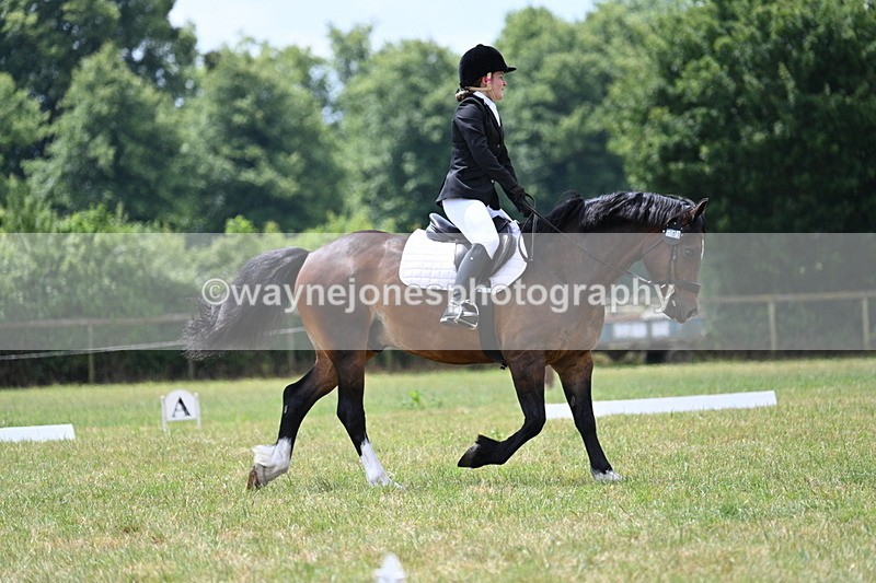 WJ7_5693 - Time 11:52 to 12:10