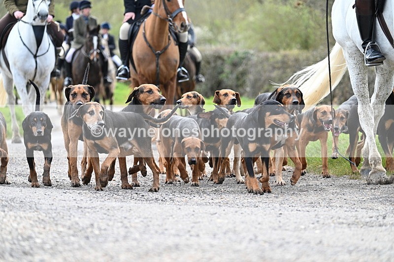 WJ7_9803 - Walk Home