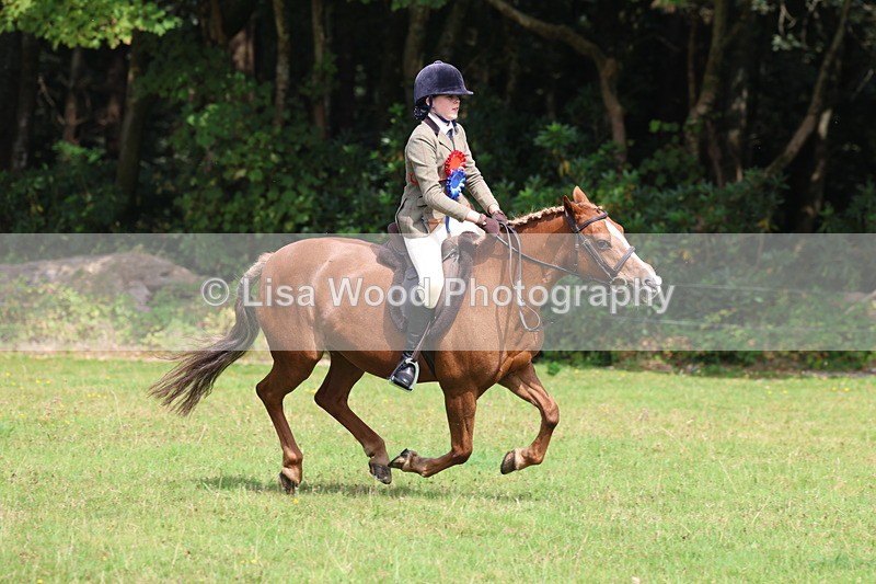 3E7A6103 - Working Hunter Championship