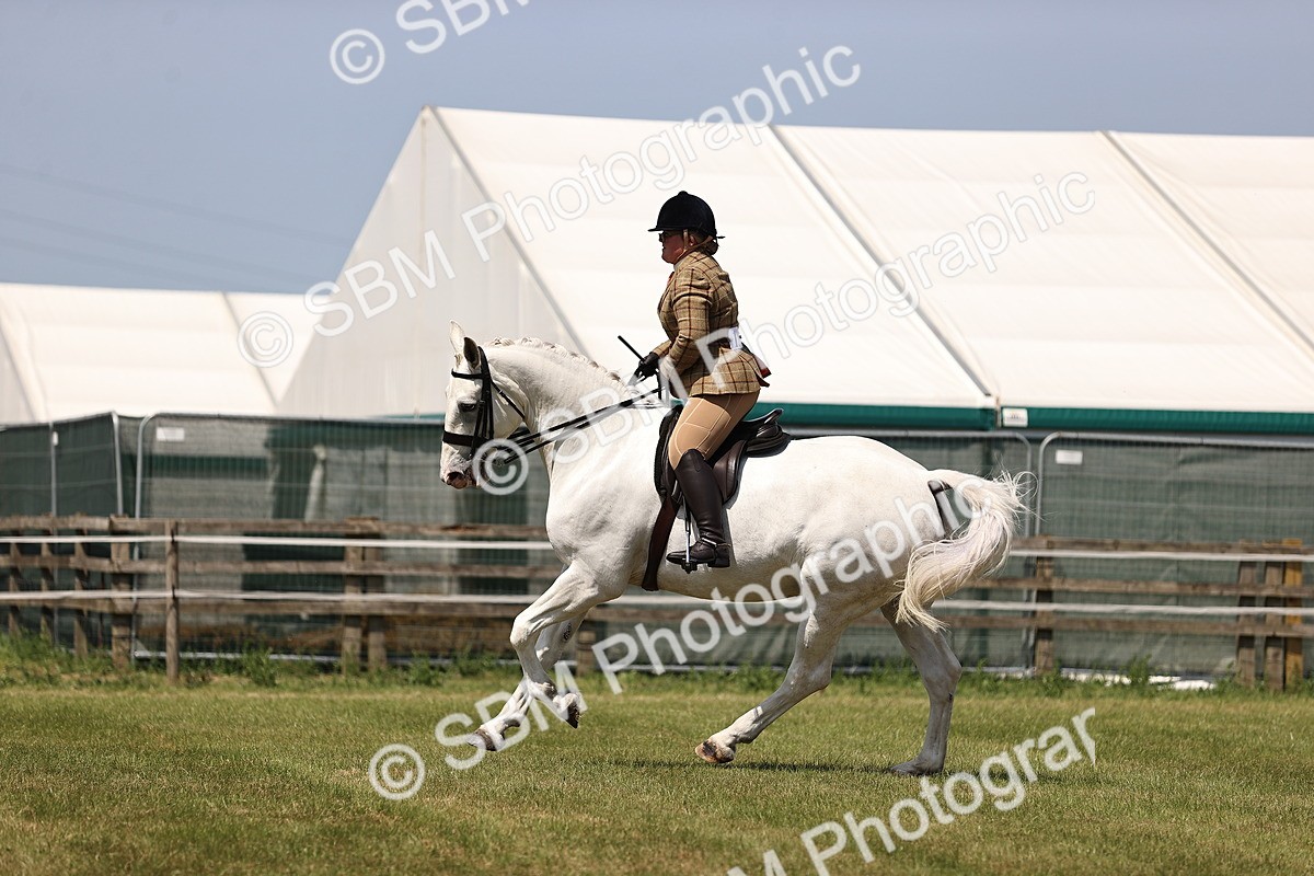 SBM_16147 - Class 79-80 - LIHS BSHA Rising Star Ridden Hunter