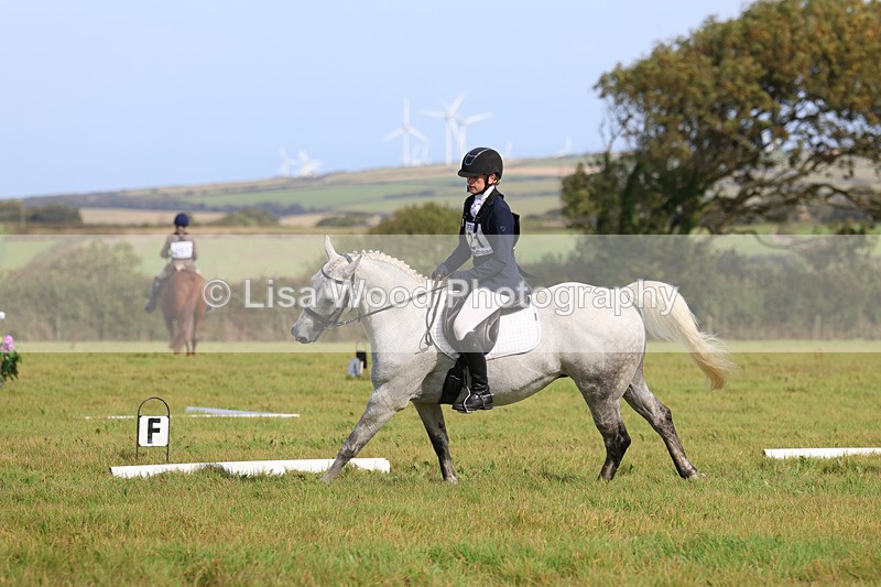 3E7A6323 - Class 1: Trebudannon Open: Dressage (Part 2)