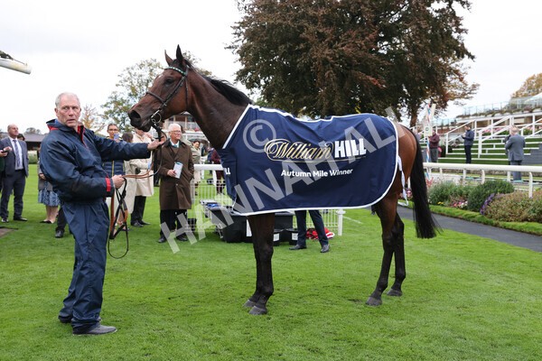 yr07102022r2-53 - Race 2 2.40pm William Hill Autumn Mile