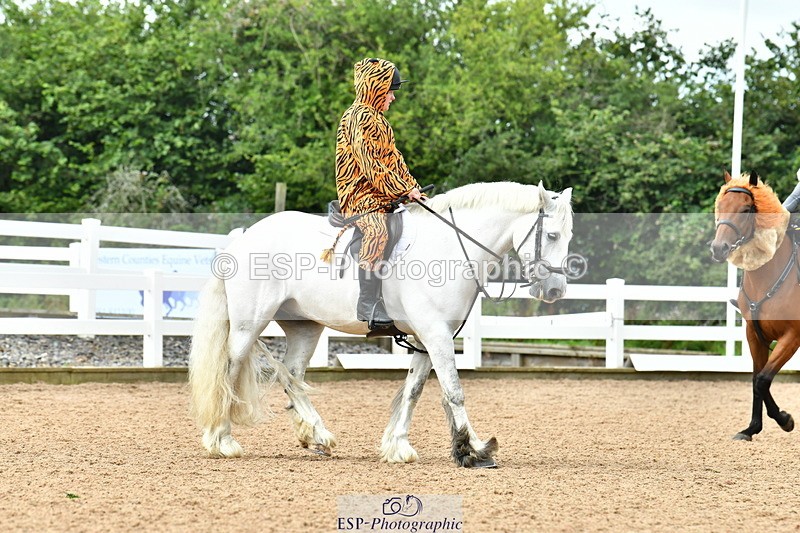 230804A-110035-02106 - Musical Ride