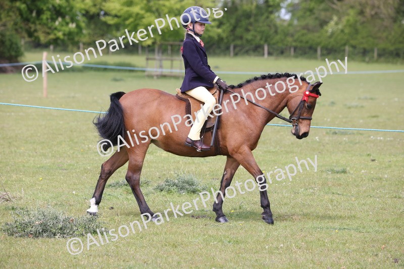 20260426-2891 - Class 33 - Best Pony 14.2hh and Under