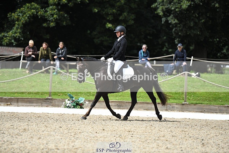 230812-121348-04064 - Cls 6 Novice Silver 12.10 to End