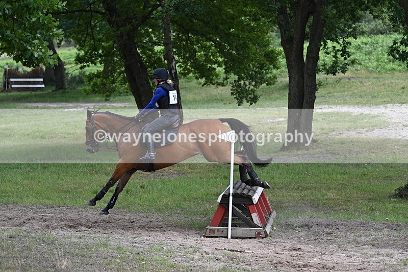 WJ7_9188 - Time 11:14 to 11:22