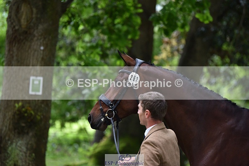 240522-165542-01257 - 262-MY_STAR_TURN-Tom_Jackson