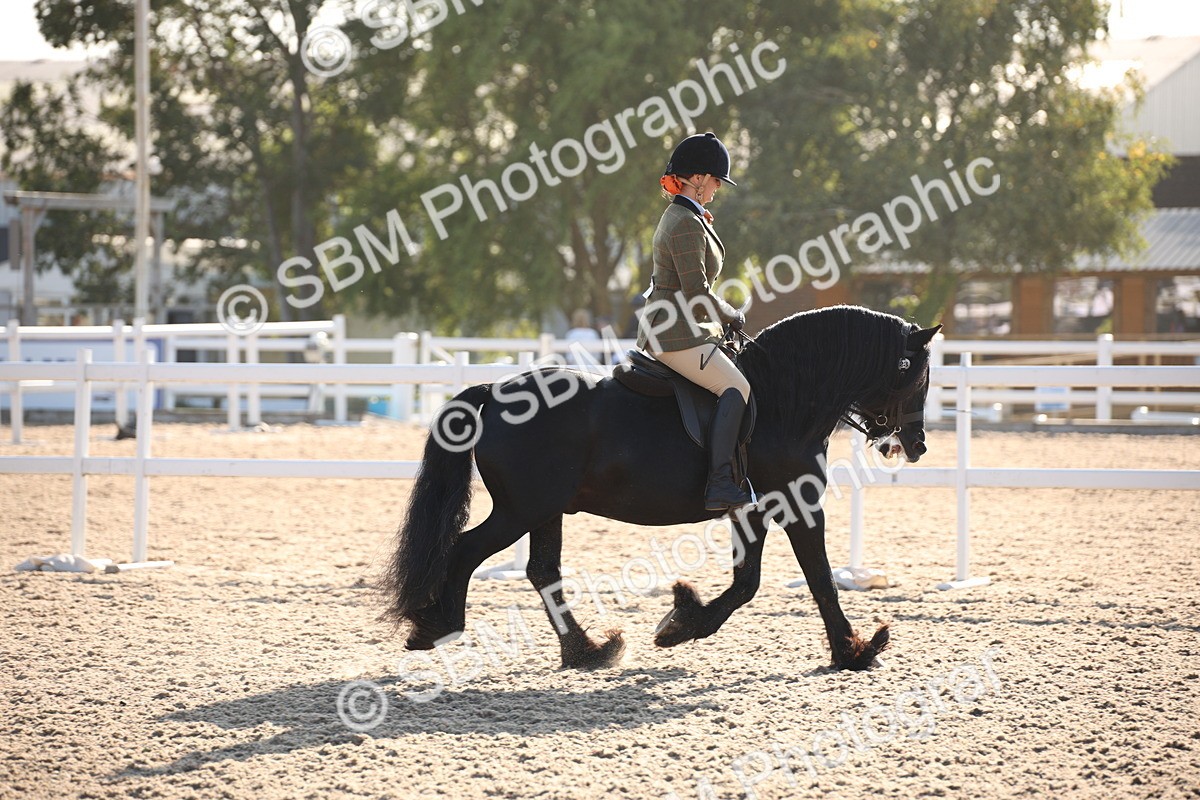 SBM_00623 - Class 14 Ridden M&M Wildcard