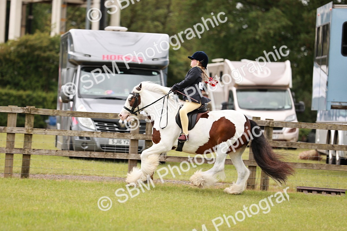 SBM_06147 - Class 39-41 TGCA In Hand and Ridden