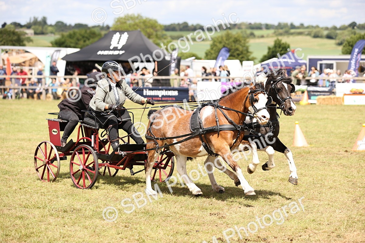 SBM_16045 - Class 91 - Scurry  exceeding 122cms