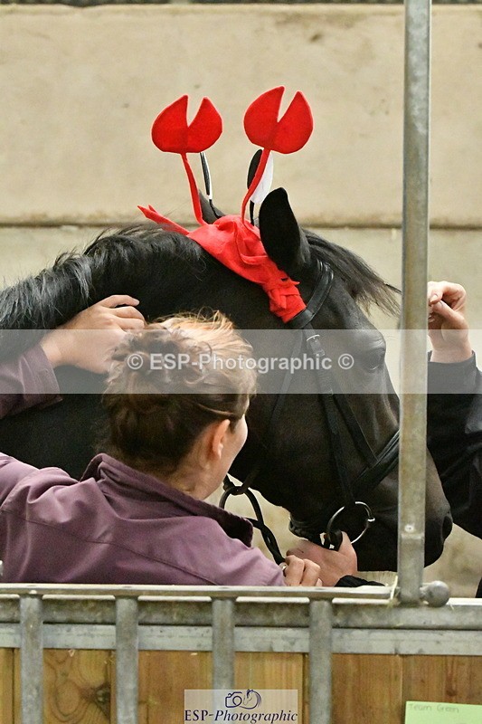 230804A-094323-01512 - Stable Shots