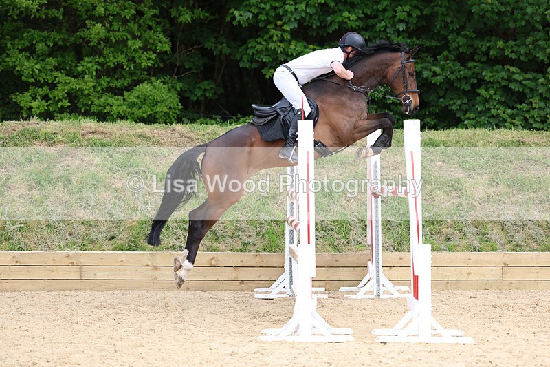3E7A7466 - Class 8: Senior Foxhunter/1.20 open