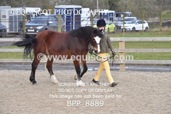 BPP_8889 - RING 2 - M&M