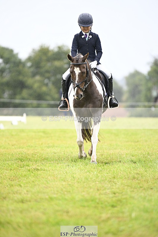 240824X-101925-21611 - D70 Section A and B 9.30 to 10.40