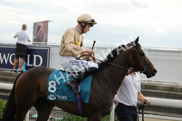 yr04092022r7-10 - Race 7 5.15pm Firmament Stakes