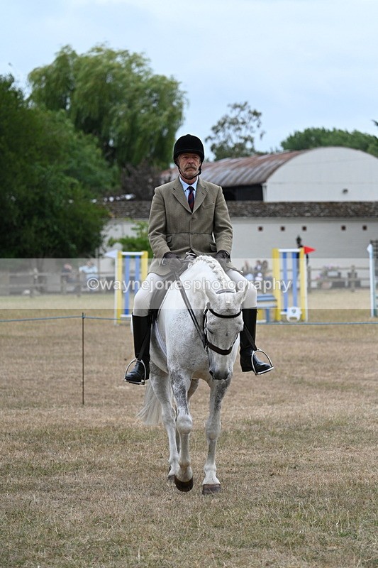 WJ7_0765 - Class 7 Riding Club Show Horse