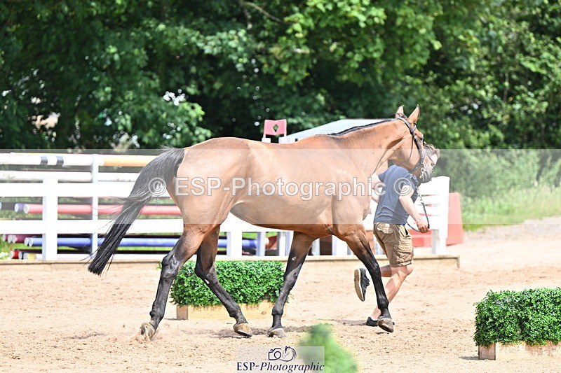 240718A-105309-01640 - Trot Up 1pm to 2pm