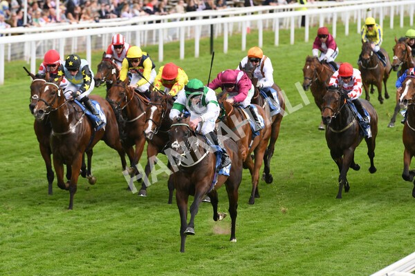 yr22052022r4-15 - Race 4: 5:05pm Sky Bet Sunday Mile