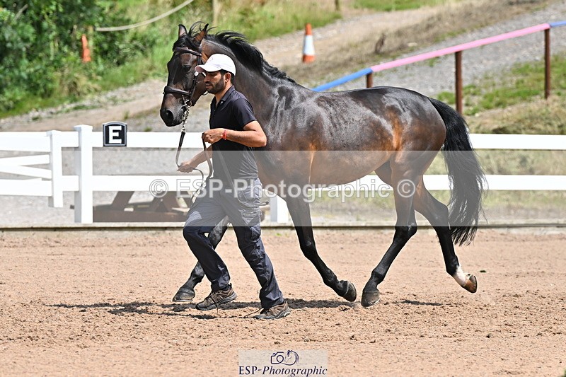 240718A-105258-01389 - Trot Up 12pm to 1pm