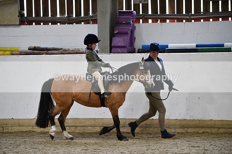 WJ5_6549 - Class 10 Childs Pony