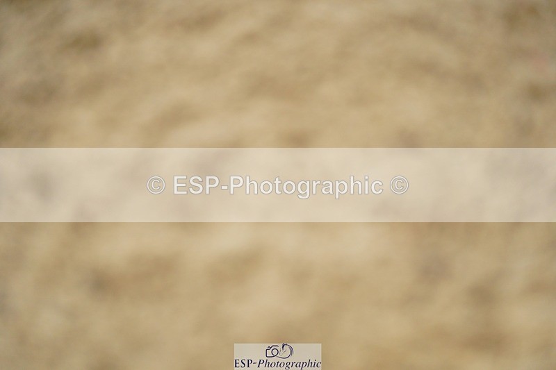 240309-112236-00342 - Cls 01 AE 70cm