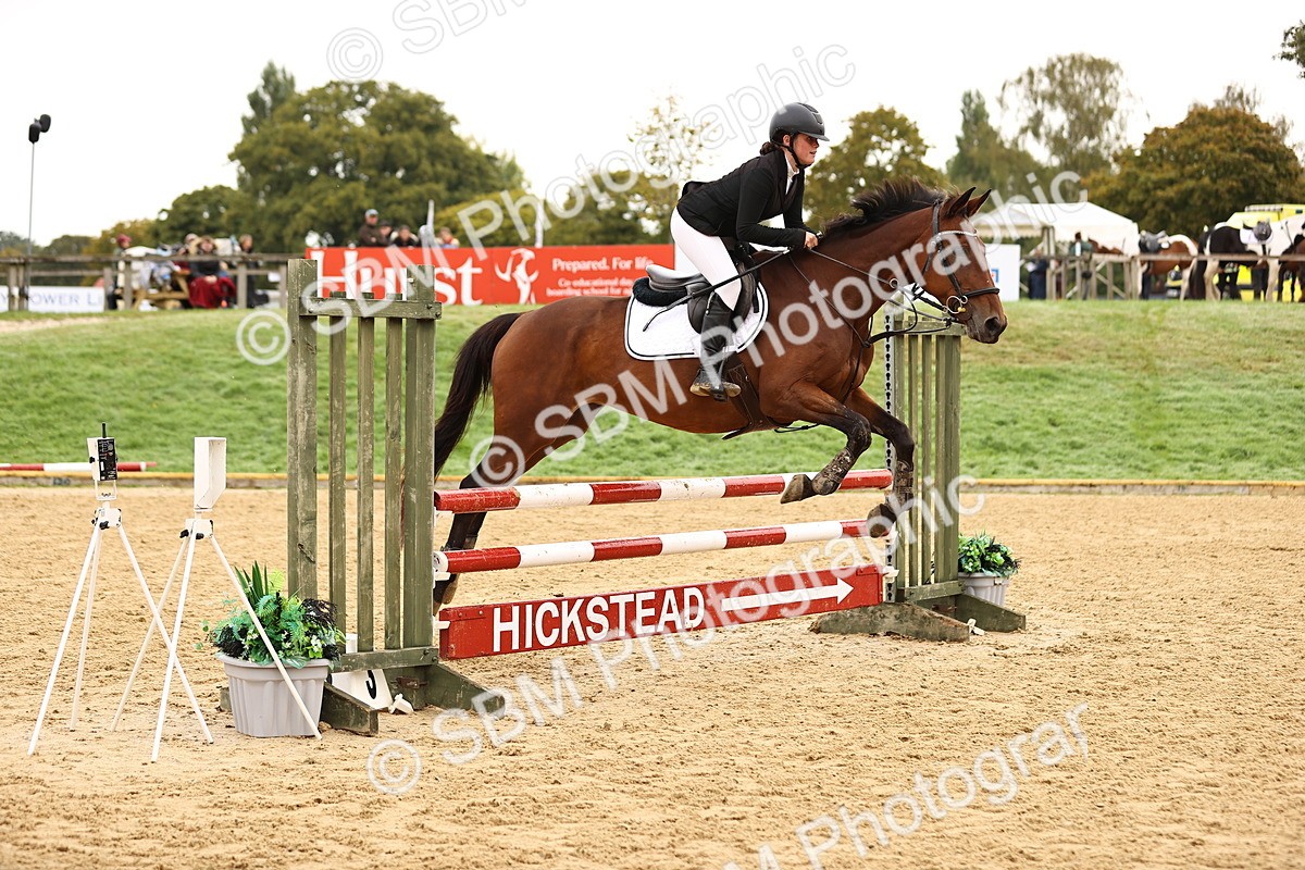 SBM_58311 - J41 - Grand Tour Horse & Pony 95cm