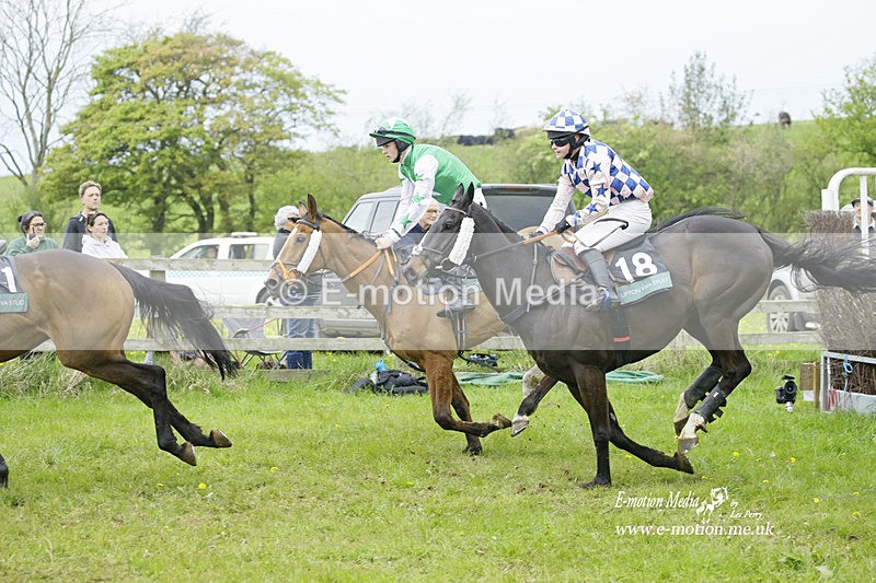 PtP 020522 366 - Mollington Races Point-to-Point 02/05/22